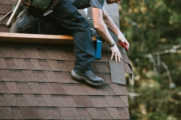 Best Local Roofing Companies  in Fort Washakie, WY