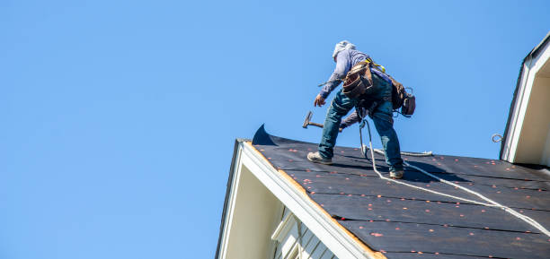Best Sealant for Roof  in Fort Washakie, WY